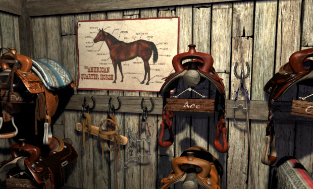 Nancy Drew The Secret of Shadow Ranch – Aussie Kids Software