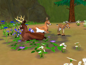Sim Animals screenshot DS